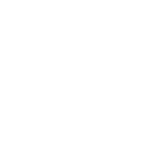 the dcp works logo white